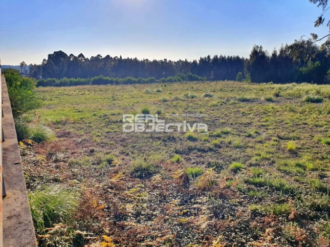Terreno para Venda em Rio Meão Foto 3