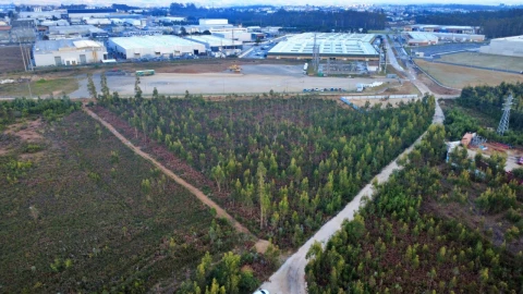 Terreno para Venda em Albergaria-A-Velha e Valmaior