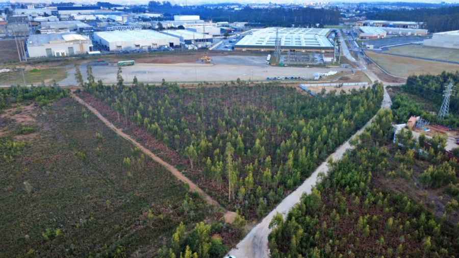 Terreno para Venda em Albergaria-A-Velha e Valmaior