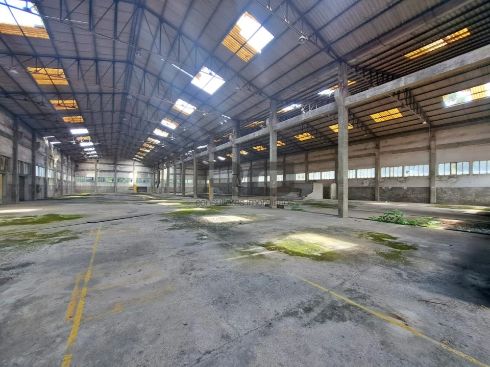 Armazém para Venda em Foz do Sousa e Covelo Foto 3