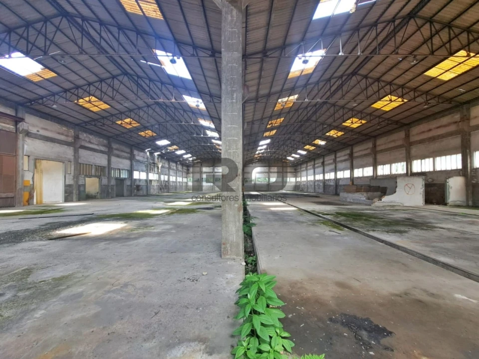 Armazém para Venda em Foz do Sousa e Covelo Foto 6