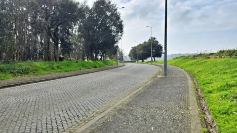 Terreno para Venda em Aveleda