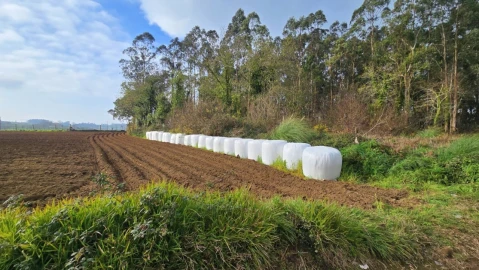 Terreno para Venda em Aveleda