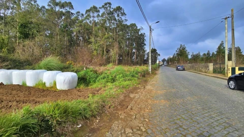 Terreno para Venda em Aveleda