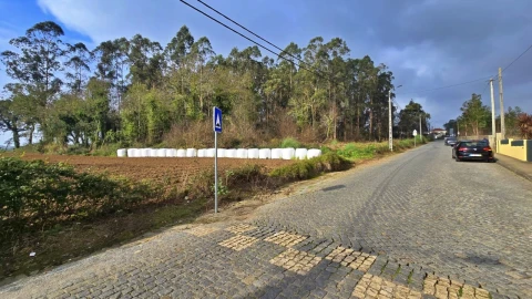 Terreno para Venda em Aveleda