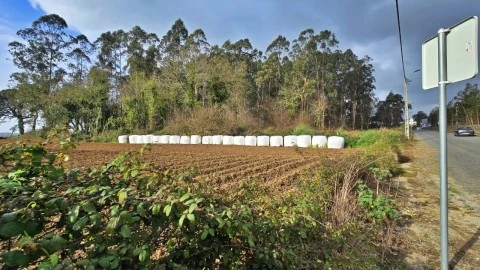 Terreno para Venda em Aveleda
