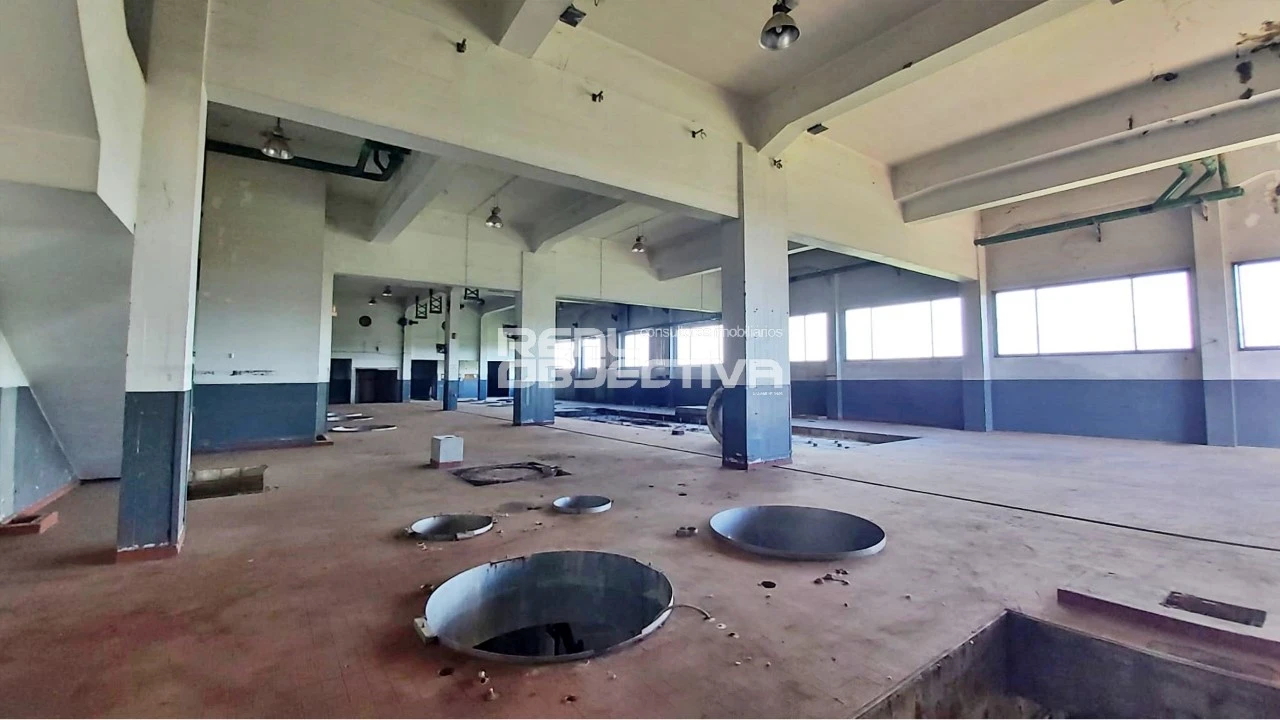 Armazém para Arrendamento em Rebordões Foto 9