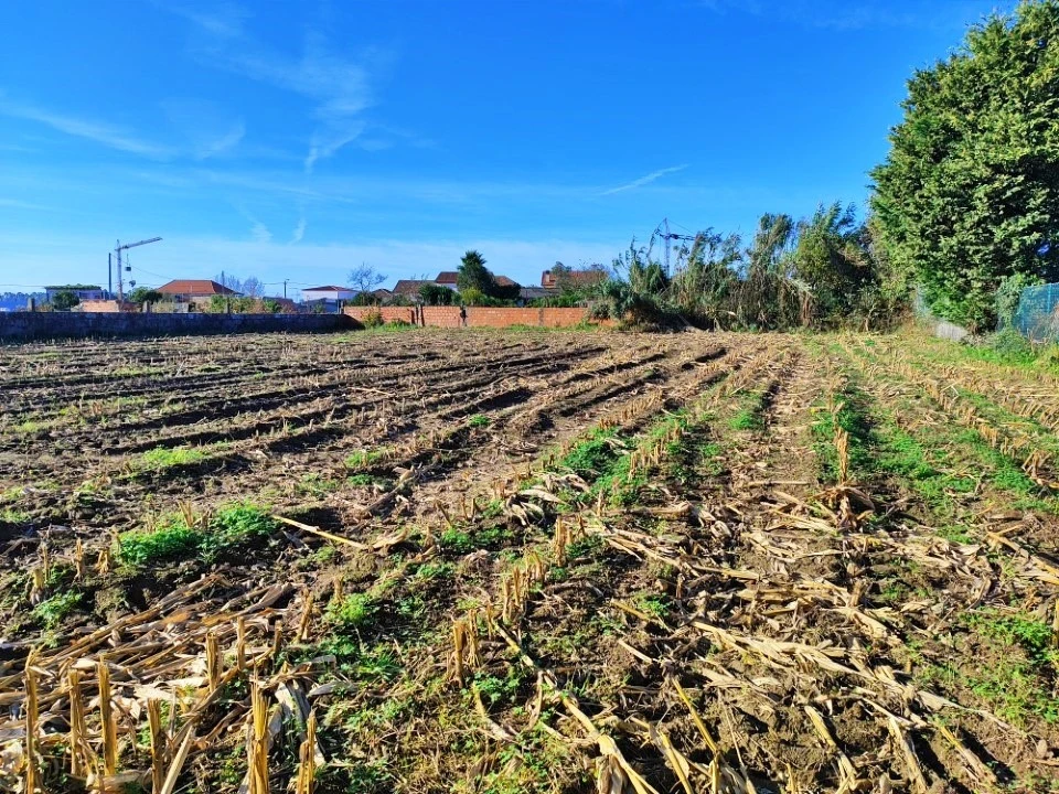 Terreno para Venda em Perafita, Lavra e Santa Cruz do Bispo Foto 2