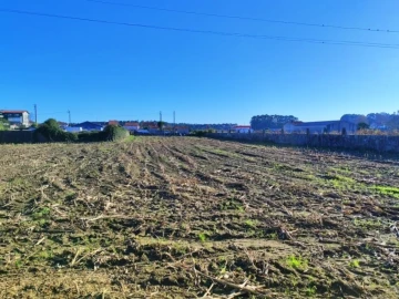 Terreno para Venda em Perafita, Lavra e Santa Cruz do Bispo