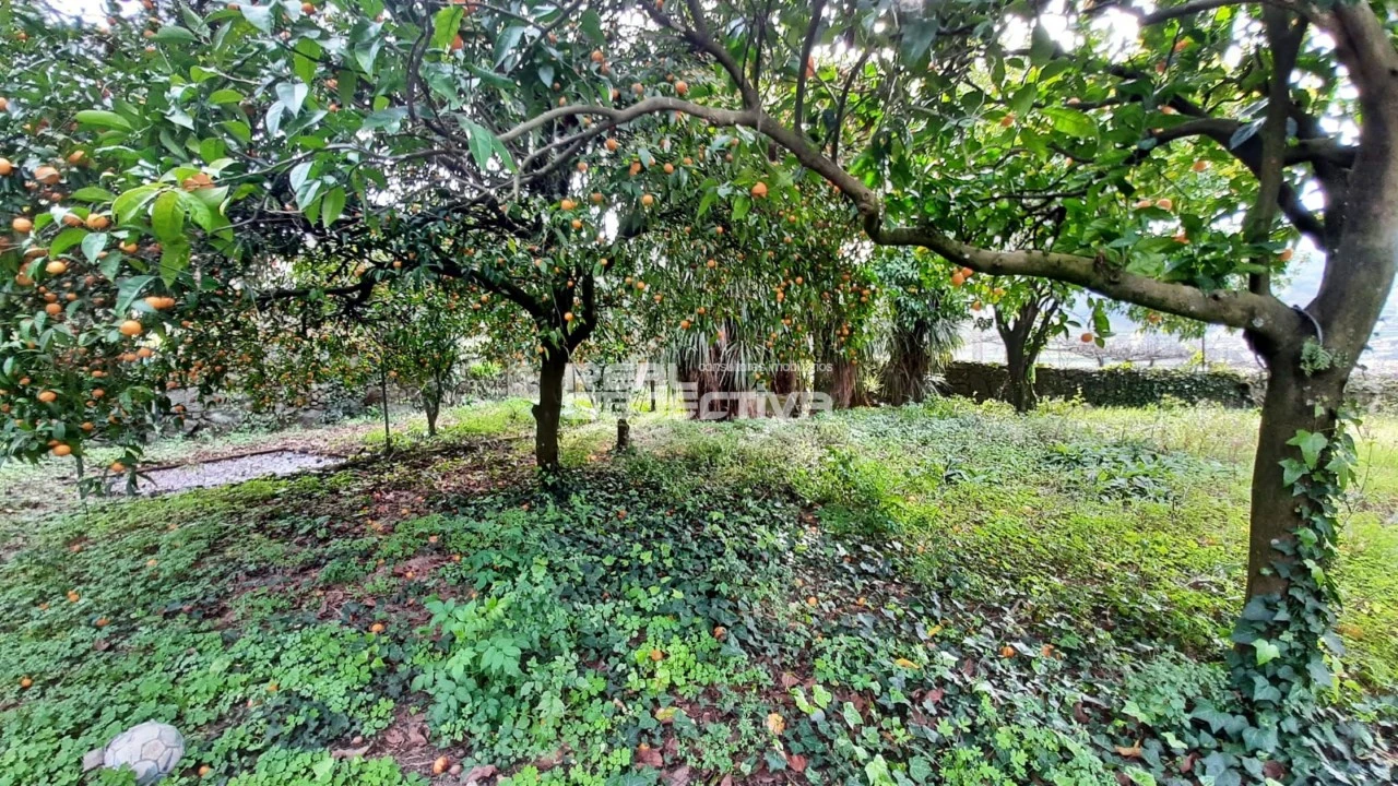 Moradia T6 para Venda em São Tomé de Negrelos Foto 42