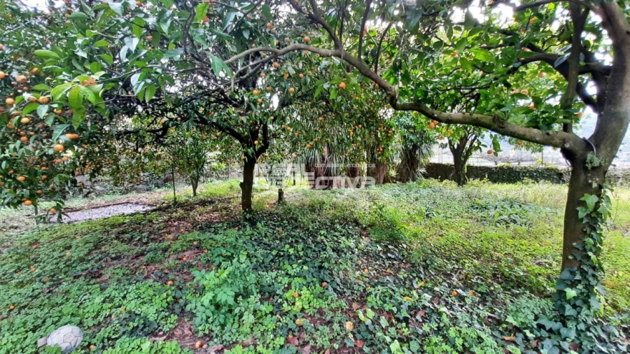 Moradia T6 para Venda em São Tomé de Negrelos Foto 42