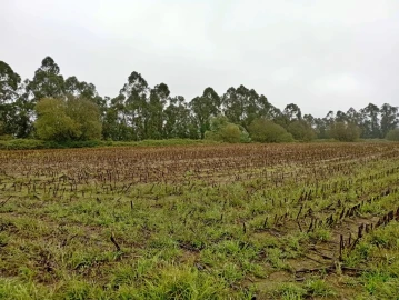 Terreno para Venda em Covelas