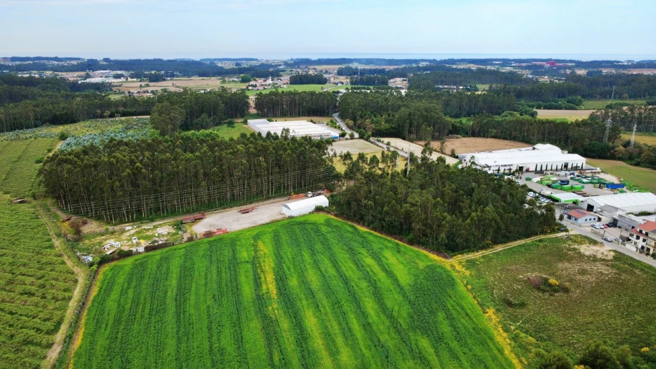 Terreno para Venda em Guilhabreu Foto 3