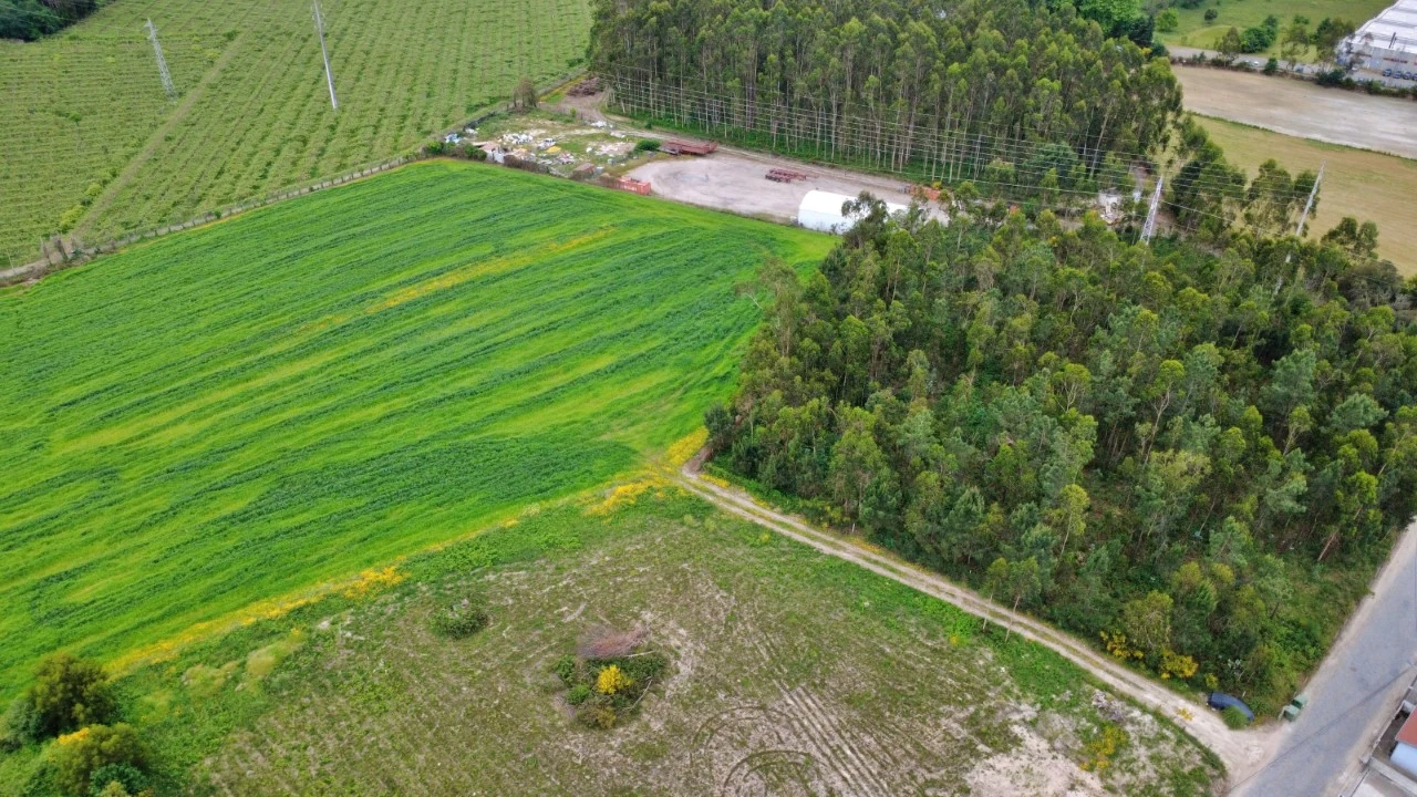 Terreno para Venda em Guilhabreu Foto 5