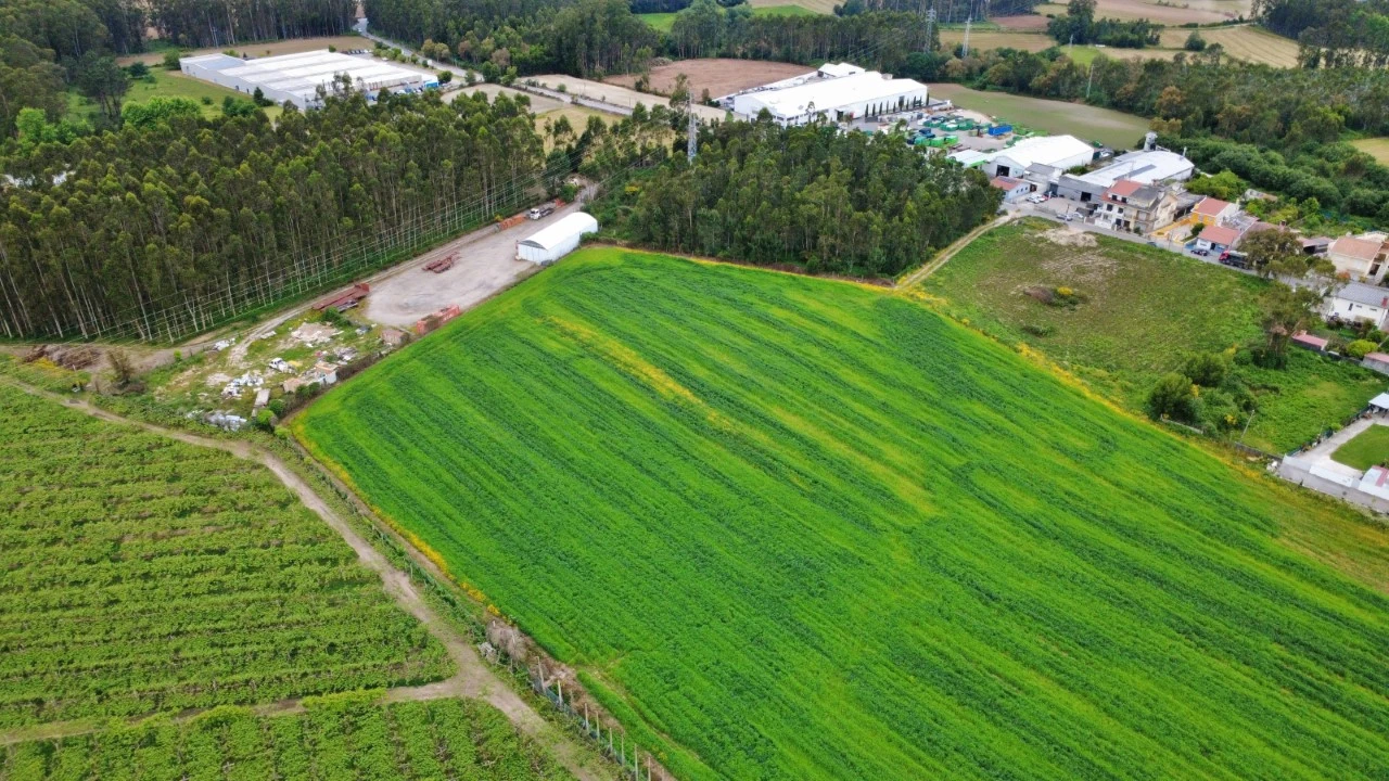 Terreno para Venda em Guilhabreu Foto 6