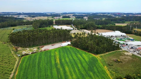 Terreno para Venda em Guilhabreu