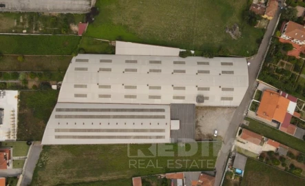Armazém para Venda em Cortegaça