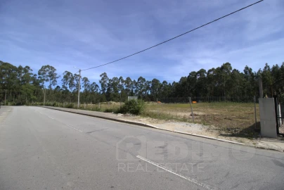 Terreno para Venda em Romariz