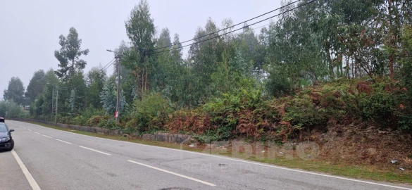 Terreno Misto para Venda em Canedo, Vale e Vila Maior