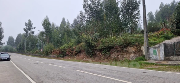 Terreno Misto para Venda em Canedo, Vale e Vila Maior