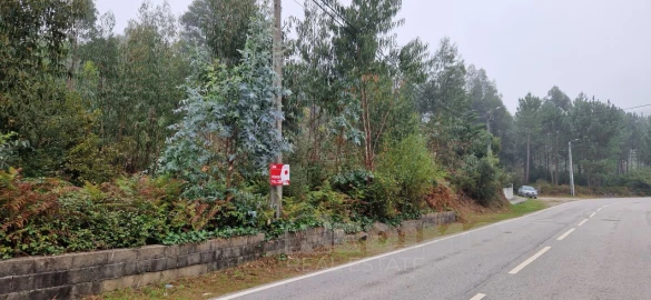 Terreno Misto para Venda em Canedo, Vale e Vila Maior