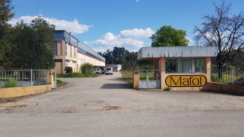 Armazém para Venda em Águeda e Borralha