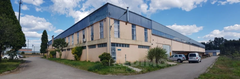 Armazém para Venda em Águeda e Borralha