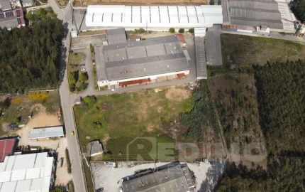 Armazém para Venda em Águeda e Borralha
