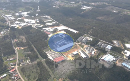 Armazém para Venda em Águeda e Borralha