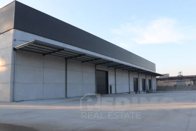 Armazém para Arrendamento em Lourosa