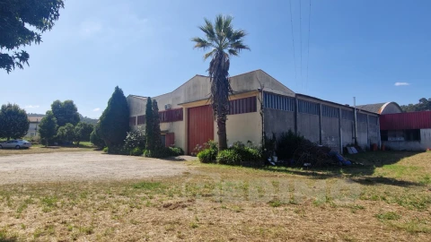 Armazém para Venda em Lourosa