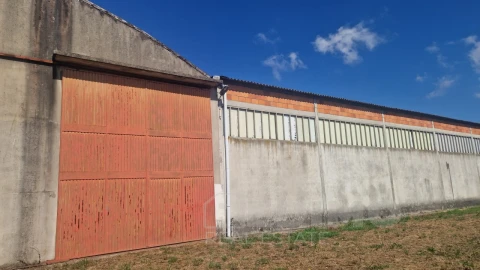 Armazém para Venda em Lourosa