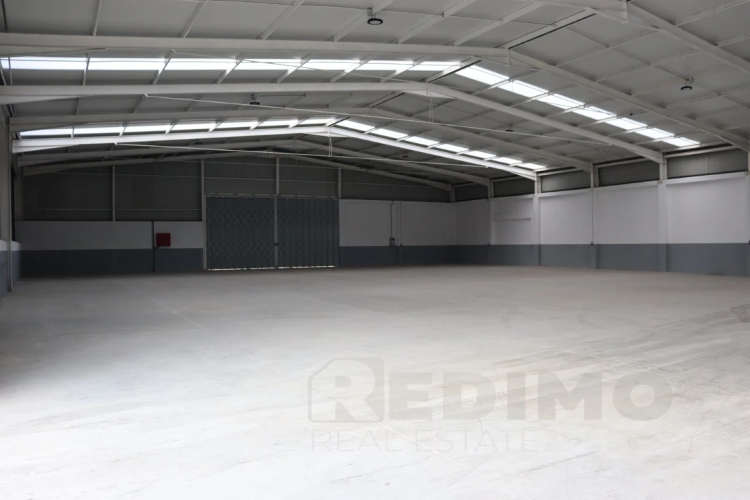 Armazém para Arrendamento em Romariz Foto 6