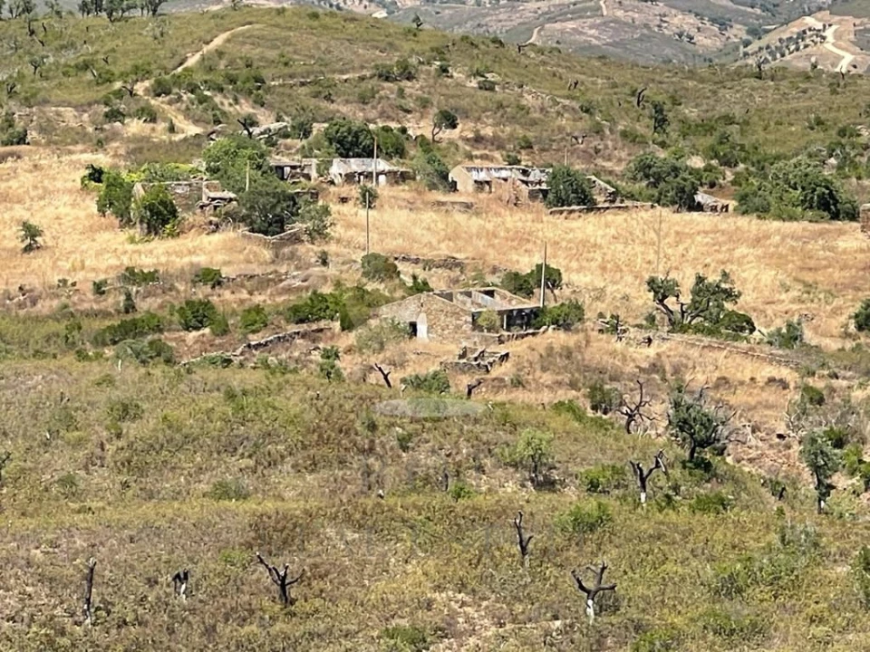 Terreno para Venda em São Brás de Alportel Foto 12