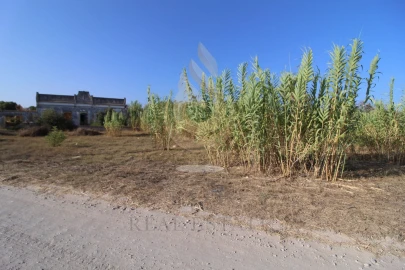 Quinta para Venda em Moncarapacho e Fuseta