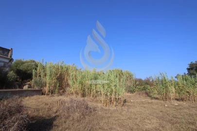 Quinta para Venda em Moncarapacho e Fuseta