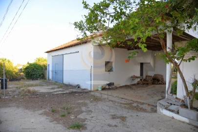 Quinta T5 para Venda em Pechão