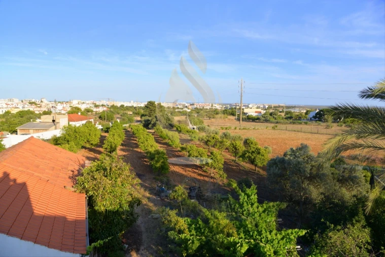 Quinta T5 para Venda em Pechão Foto 11