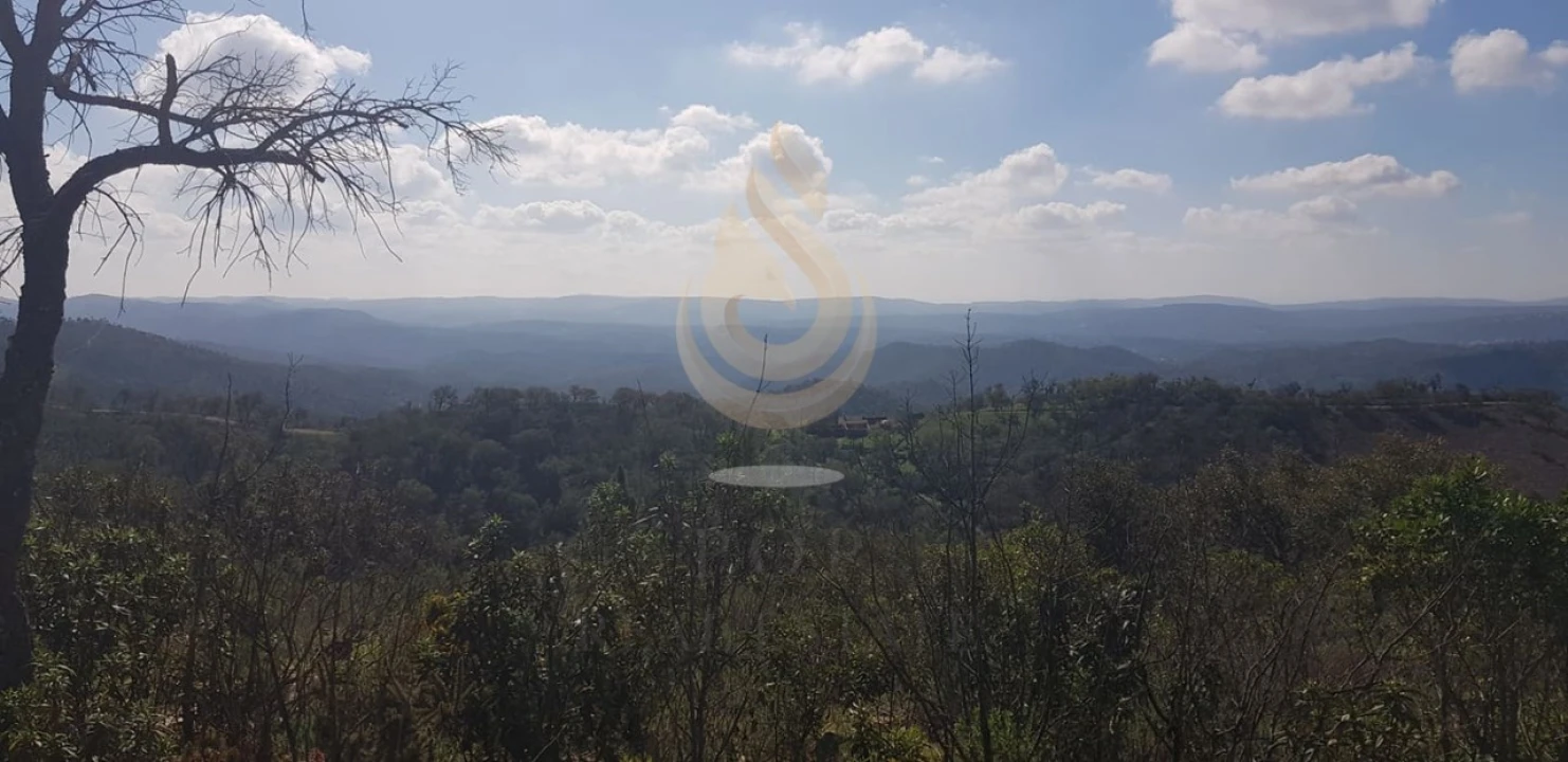 Terreno para Venda em Salir Foto 21