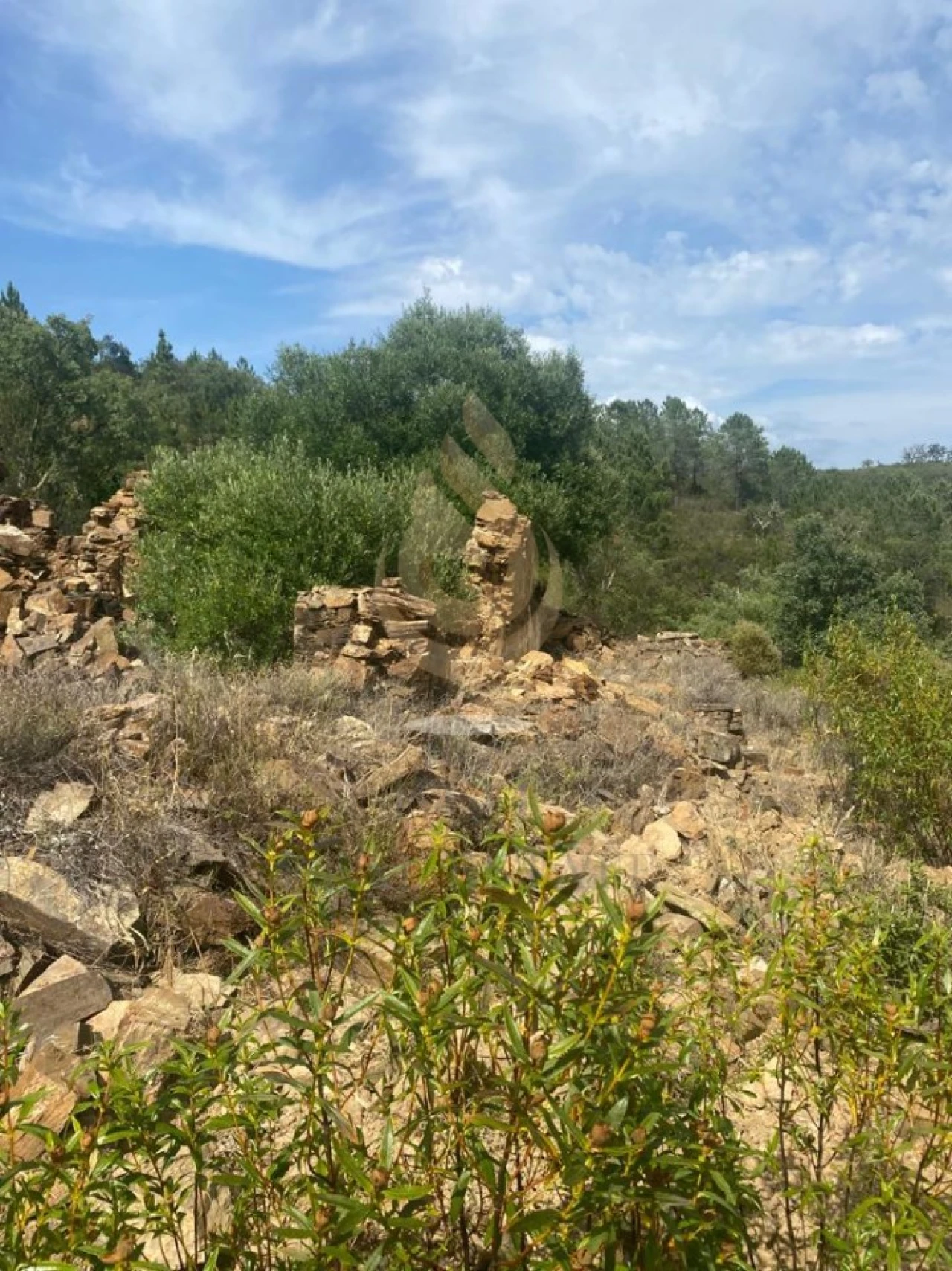 Terreno para Venda em Salir Foto 8