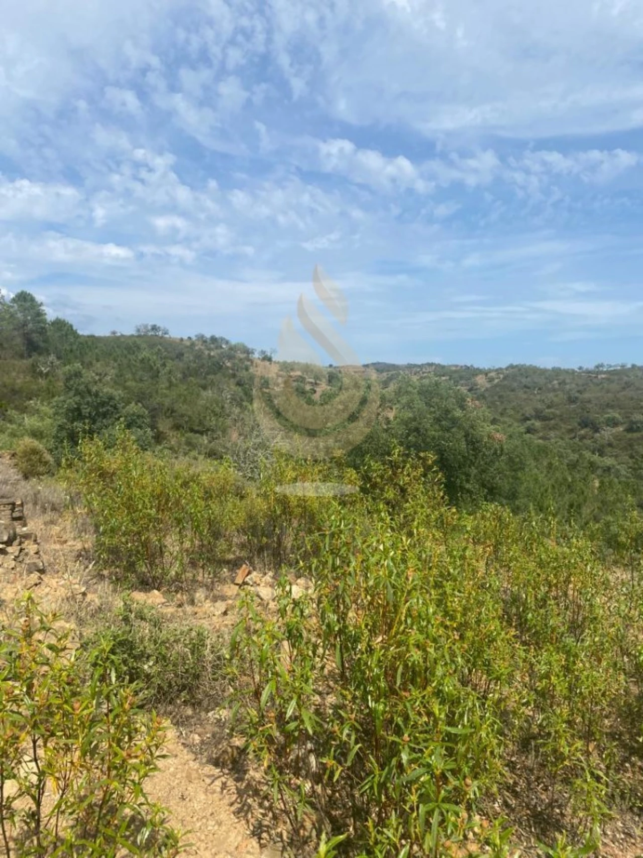 Terreno para Venda em Salir Foto 7