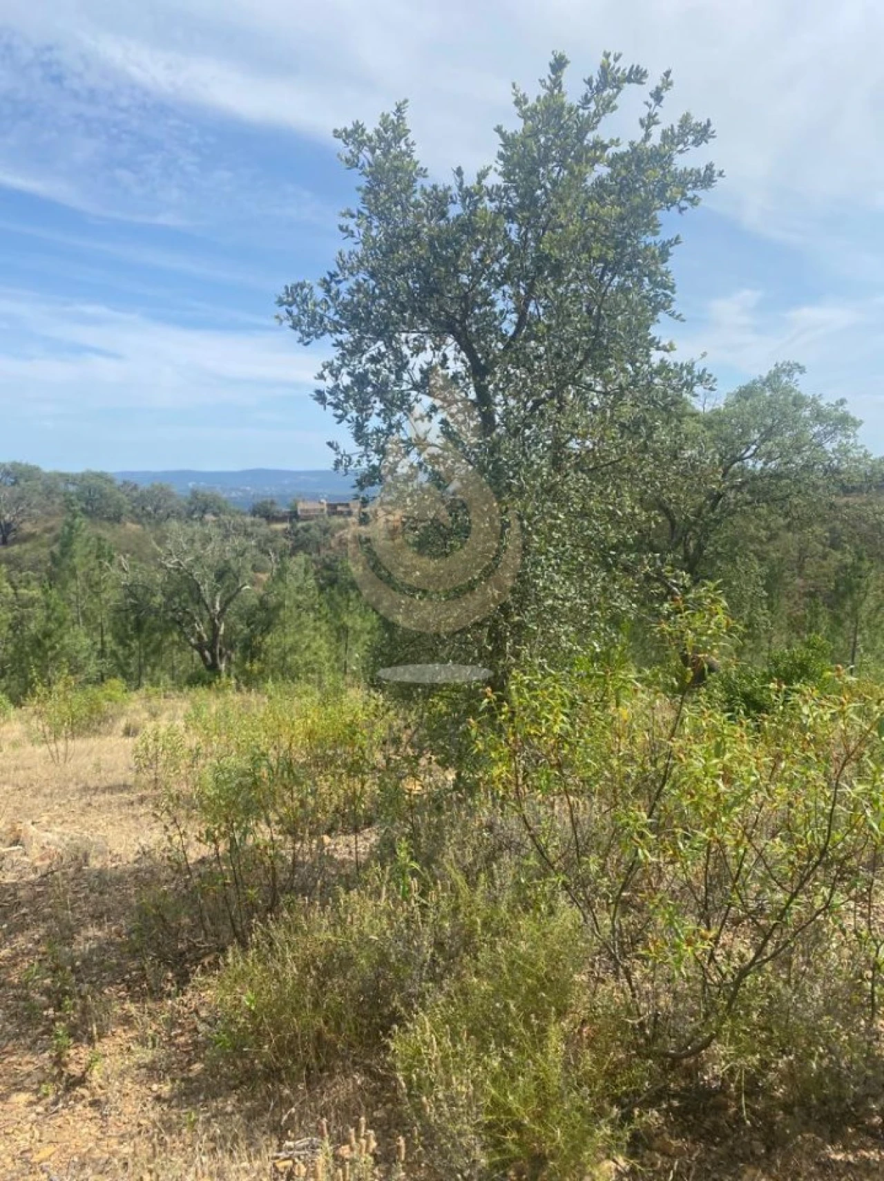 Terreno para Venda em Salir Foto 6