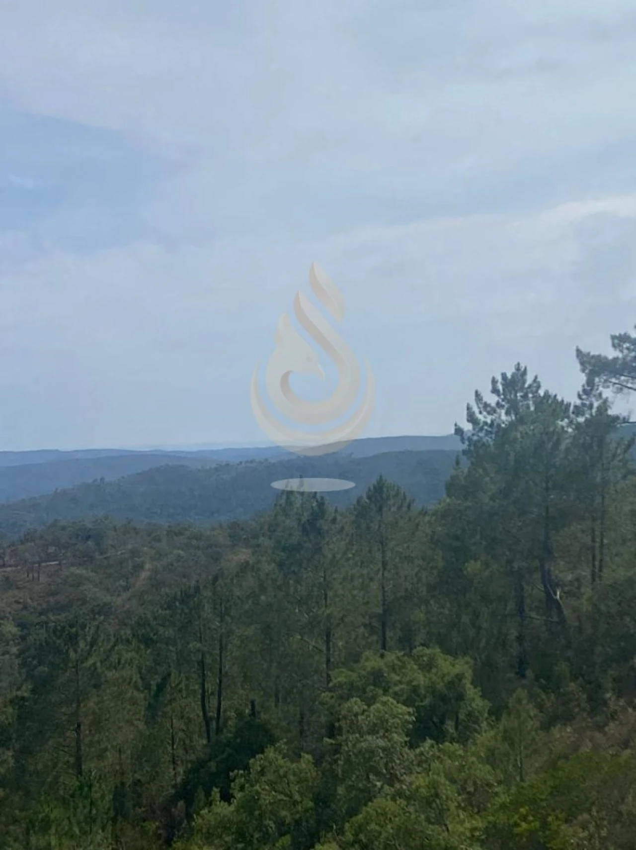 Terreno para Venda em Salir Foto 24