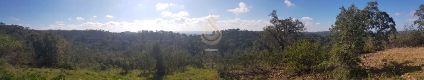 Terreno para Venda em Salir
