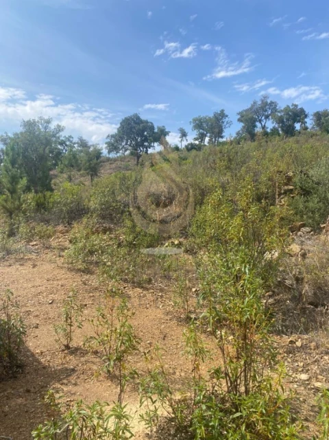 Terreno para Venda em Salir