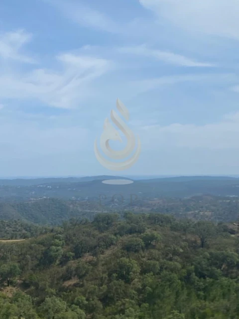 Terreno para Venda em Salir