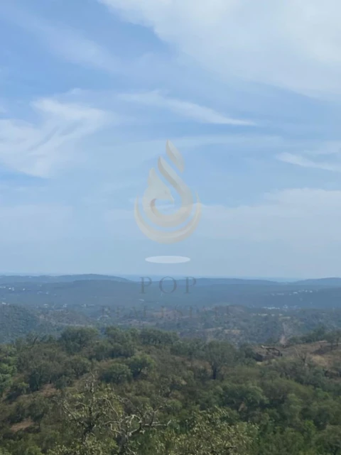 Terreno para Venda em Salir