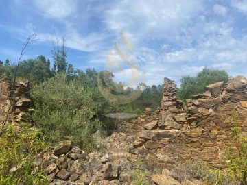 Terreno para Venda em Salir