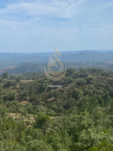 Terreno para Venda em Salir