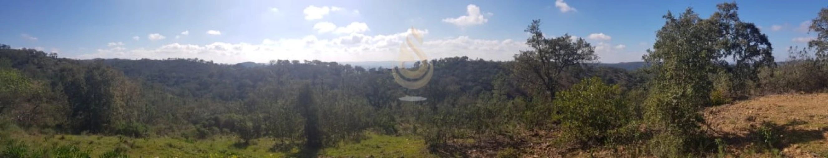 Terreno para Venda em Salir Foto 27